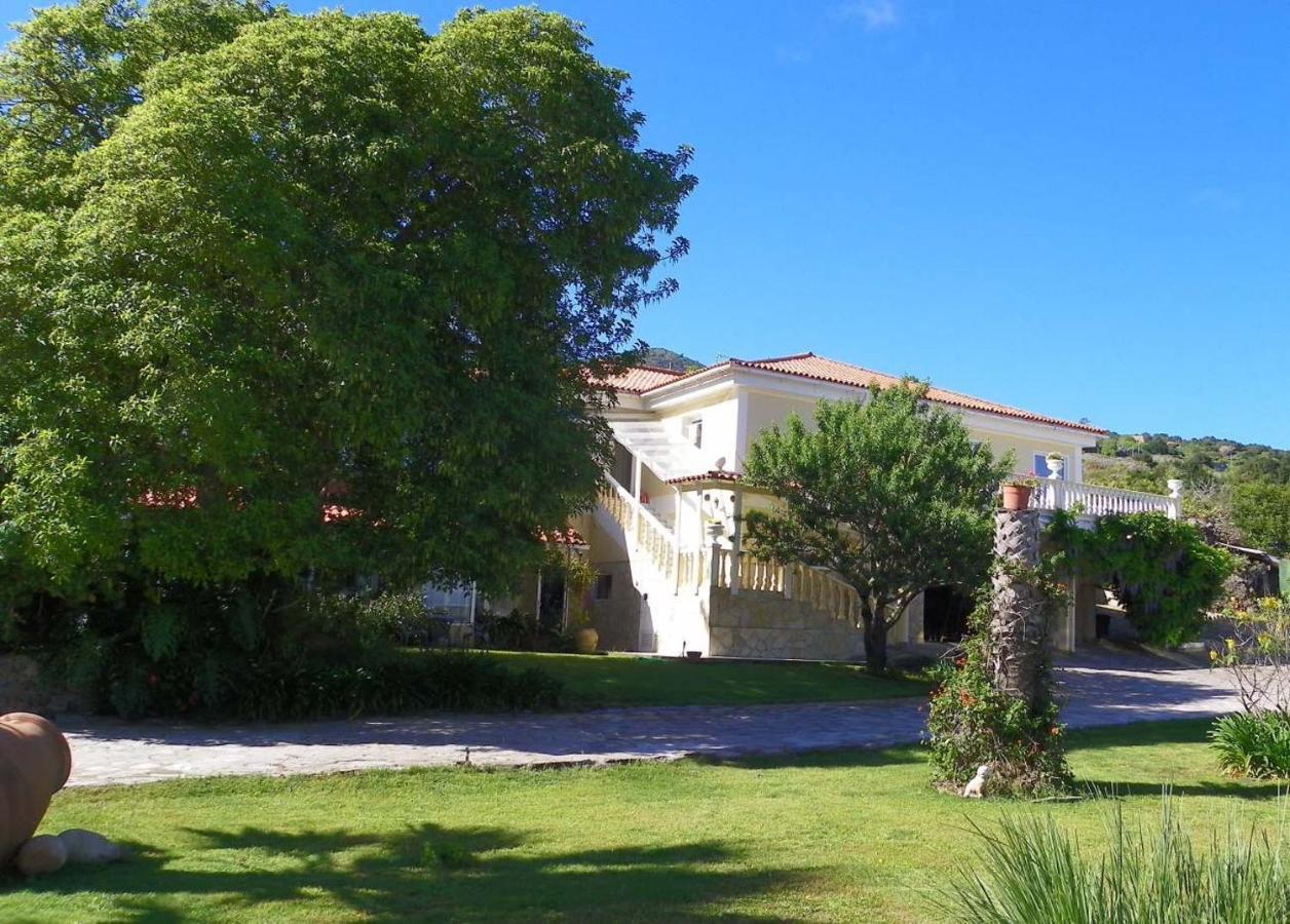 Casa-Palo-Pique Apartment Icod De Los Vinos Bagian luar foto